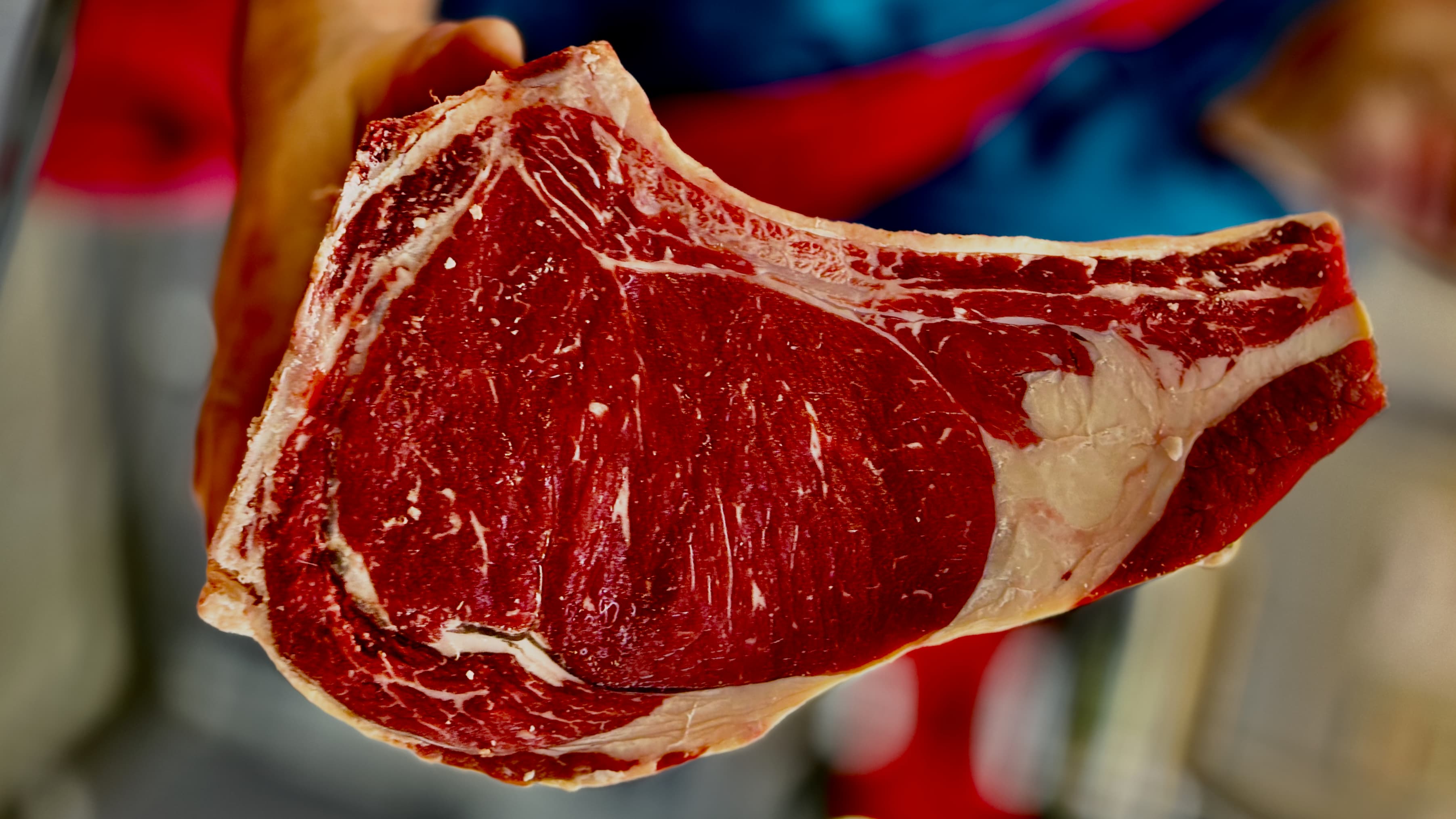 Tradition bouchère à Alès